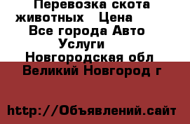 Перевозка скота животных › Цена ­ 39 - Все города Авто » Услуги   . Новгородская обл.,Великий Новгород г.